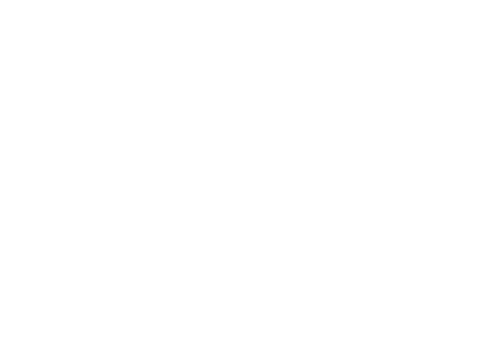 Artist Not Muse